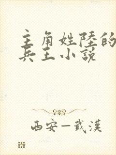 主角姓陆的都市兵王小说