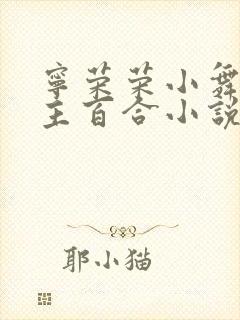 宁荣荣小舞双女主百合小说