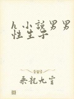 h 小说男男双性生子