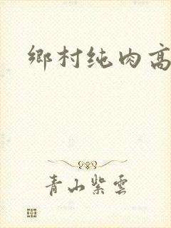 乡村纯肉高h文封面