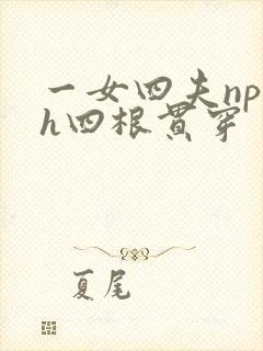 一女四夫np高h四根贯穿