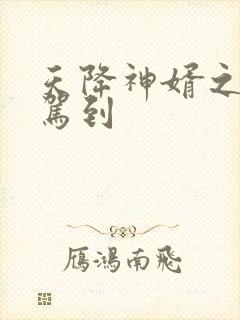 天降神婿之财神驾到