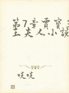 第7章贾宝玉上王夫人小说封面