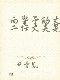 向警予的丈夫第二任丈夫是谁封面