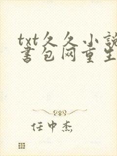 txt久久小说书包网重生小说