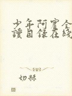 少年阿宾全文阅读目录在线阅读黄小洁封面