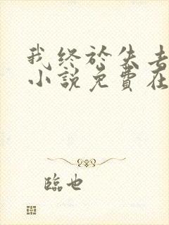 我终于失去了你小说免费在线阅读