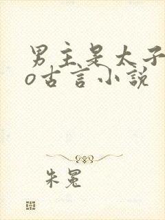 男主是太子的po古言小说