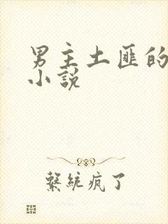 男主土匪的古言小说封面