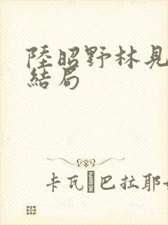 陆昭野林见疏大结局