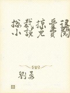 总裁掠爱很强势小说免费阅读封面