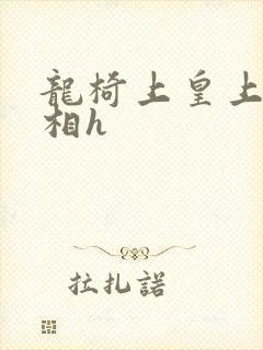 龙椅上皇上和丞相h封面