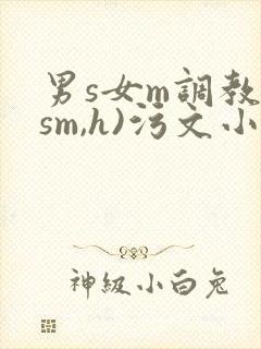男s女m调教(sm,h)污文小说