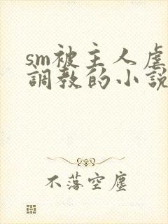 sm被主人虐玩调教的小说封面