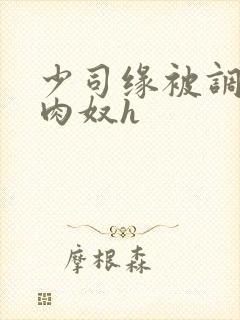 少司缘被调教成肉奴h