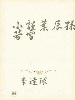 小说叶辰孙怡夏若雪