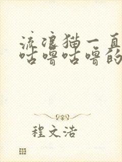 流浪猫一直发出咕噜咕噜的声音