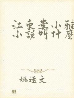 江东娄小雅重生小说叫什么名字啊