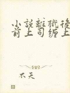 小说离职后我被前上司缠上了在线阅读封面