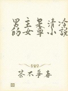 男主是清冷国师的女尊小说