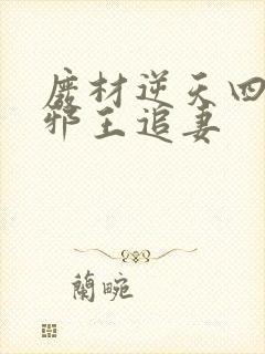 废材逆天四小姐邪王追妻封面