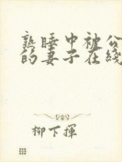 熟睡中被公侵犯的妻子在线观看