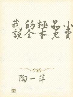 我的极品小姨小说全本免费下载