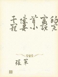 千亿首富的新欢宠妻小说完整版大结局