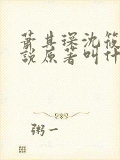 萧其琛沈筱宜小说原著叫什么