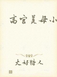 高官美母小说
