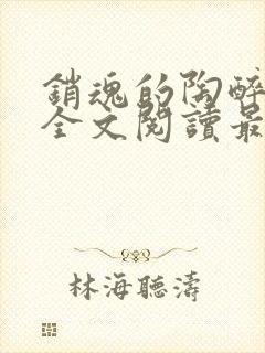 销魂的陶醉小说全文阅读最新章节