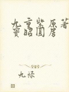 九重紫原著宋墨窦昭圆房