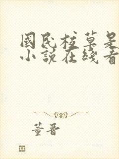 国民校草是女生小说在线看