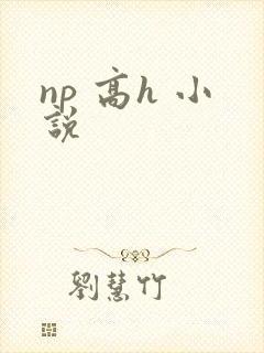 np 高h 小说