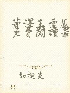 萧泽王雪凤小说免费阅读最新章节