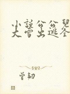 小说公公儿媳妇大雪出逃全文阅读封面