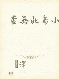 查无此鸟小说封面