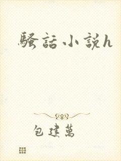 骚话小说h