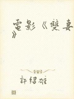 电影《双妻艳史》