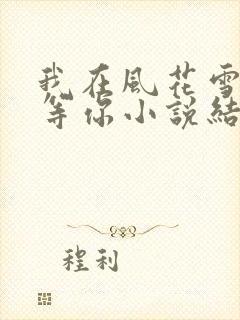 我在风花雪月里等你小说结局