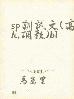 sp训诫文(高h,调教)bl
