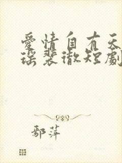 爱情自有天意宋瑶裴彻短剧大结局