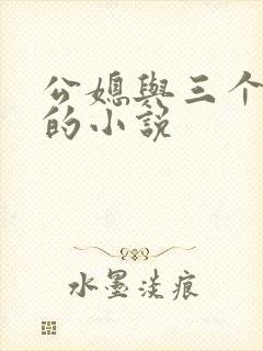 公媳与三个媳妇的小说