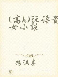 (高h)玩淫贵女小说