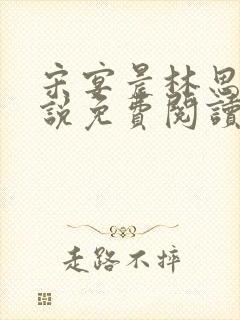 宋宴晨林思微小说免费阅读最新章节封面