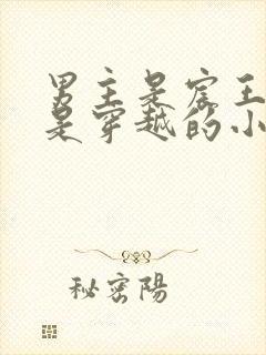 男主是宸王女主是穿越的小说