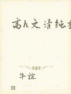 高h文清纯校花