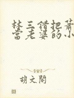 林三错把萧夫人当老婆的小说封面