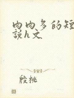 肉肉多的短篇小说h文