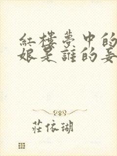 红楼梦中的周姨娘是谁的妾封面